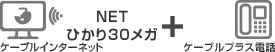 NETひかり30メガ+ケーブルプラス電話